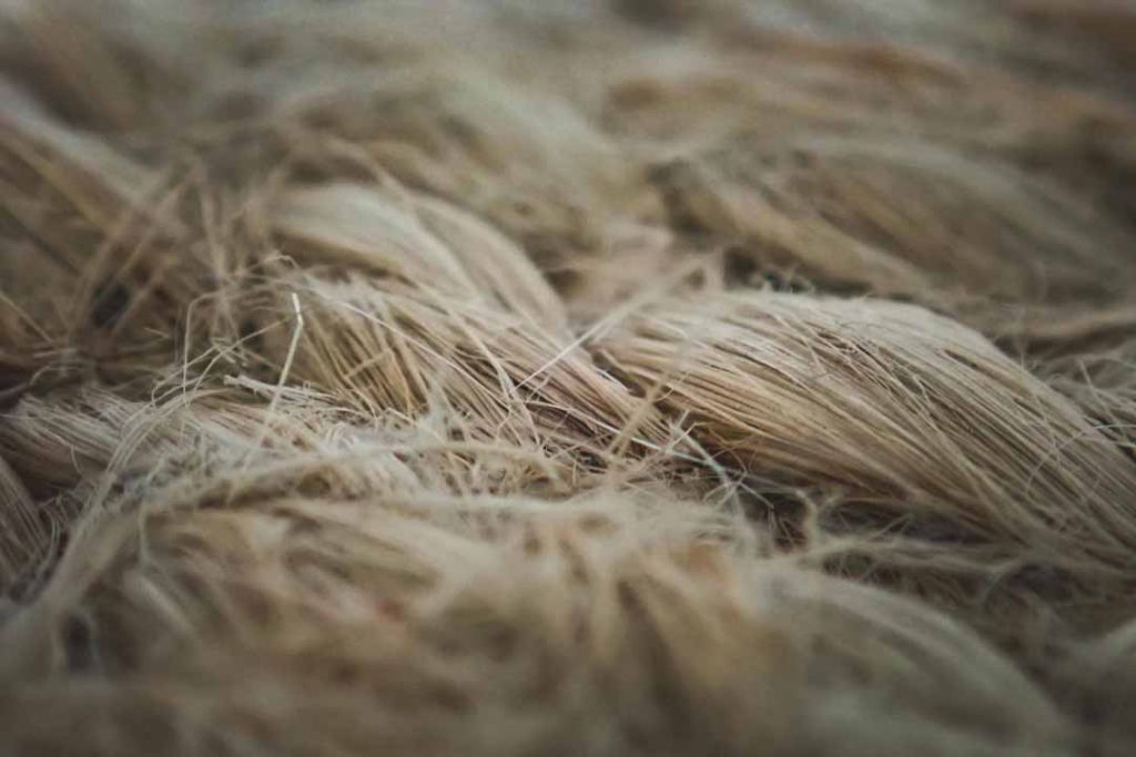 Close-up of raw linen fibers, showing bundles of long, thin fibers in shades of beige and light gold.